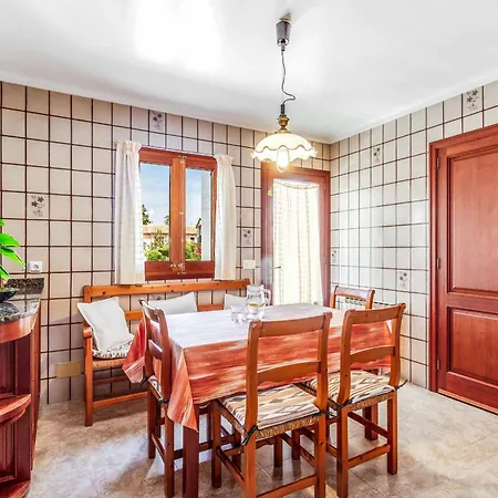 Voltor Cinco Willa *