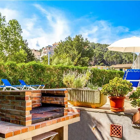 Voltor Cinco Pollença