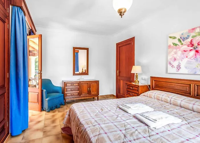 Voltor Cinco Pollensa