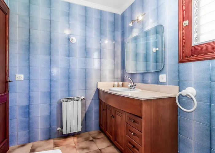 Voltor Cinco Pollensa