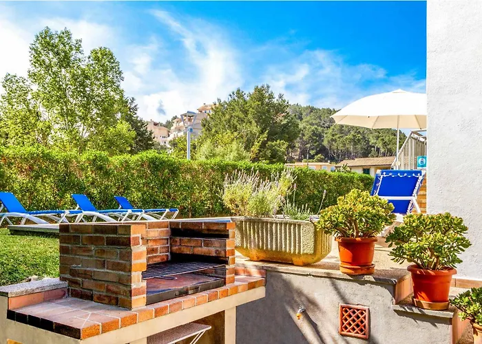 Voltor Cinco Pollensa